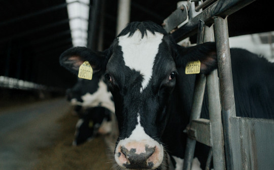 День защитника Отечества